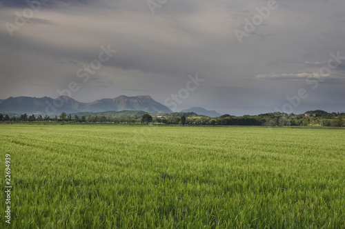 Pianura Padana photo