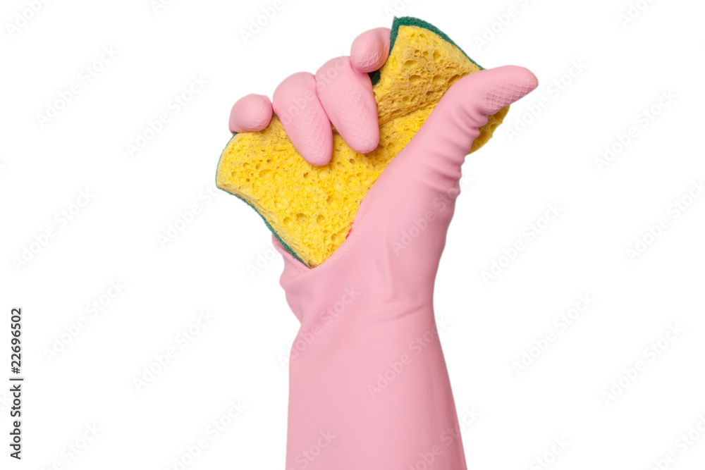 Obraz premium glove holding sponge