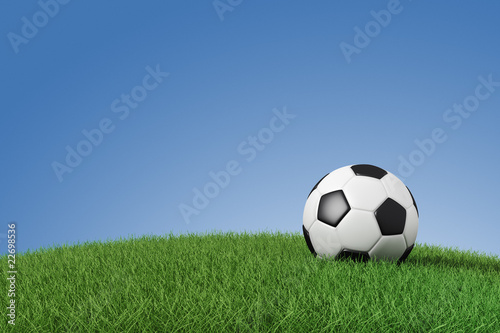 Soccer ball on grass © Zooropa