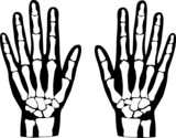 hands bones vector illustration