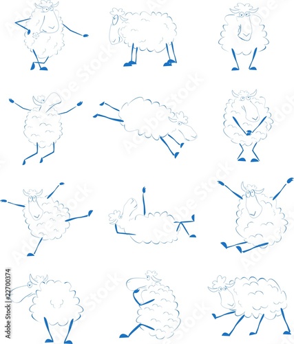 sheep set