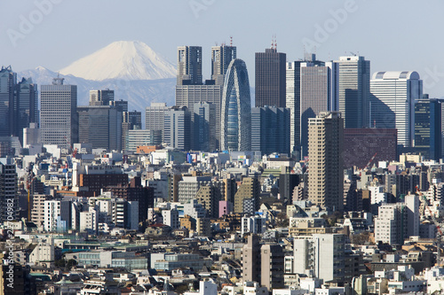 富士山と新宿高層ビル街 #22704982