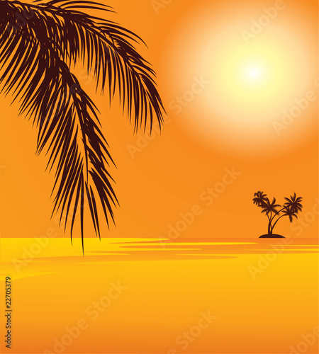 red sunset and palm on the beach #22705379