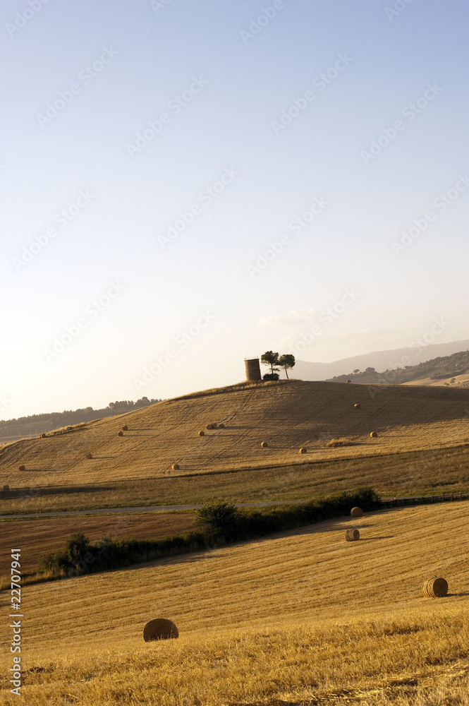 Obraz premium tuscany country