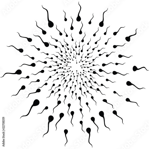 Sperms running to the egg