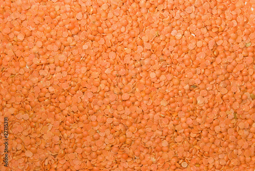Red lentil background