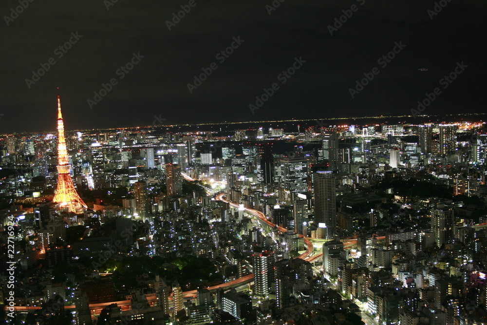 custom made wallpaper toronto digitalTokyo Megacity at night