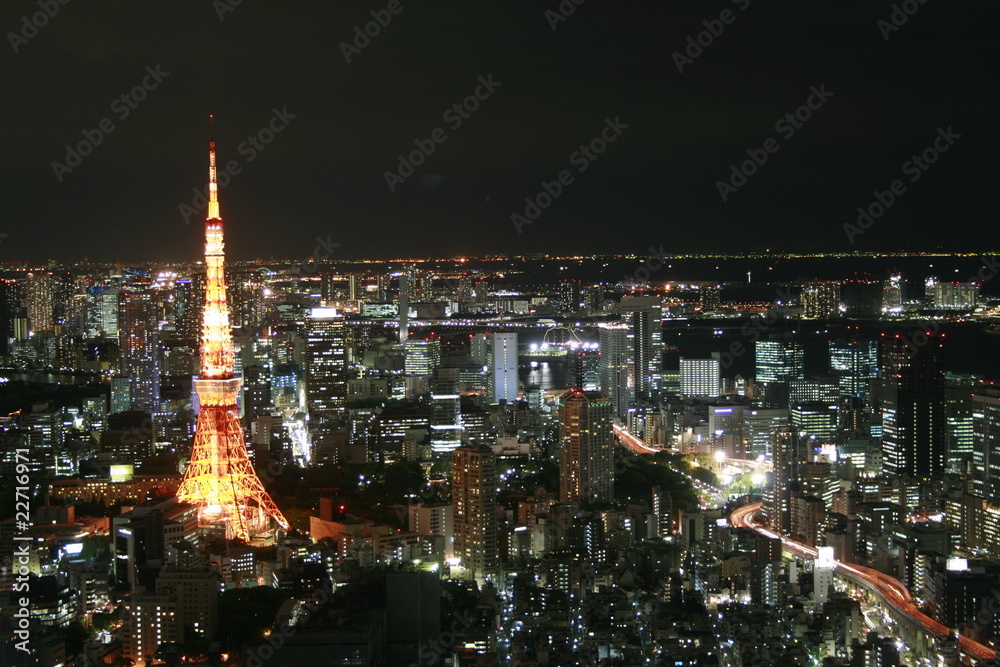 Obraz premium Tokyo Megacity at night