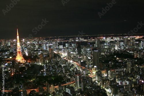 Tokyo Megacity at night