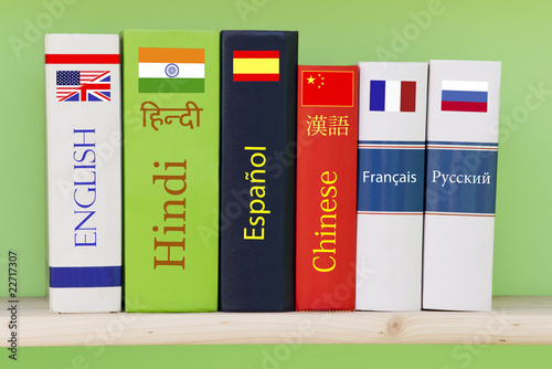 Books/dictionaries of different languages photo