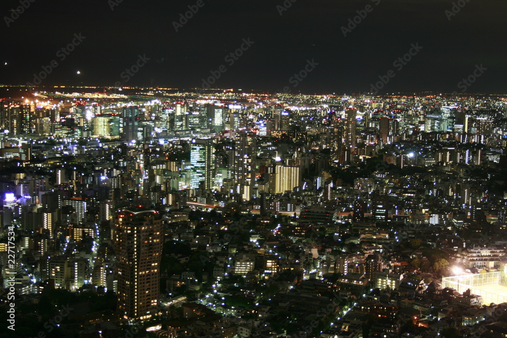 Tokyo Megacity at night