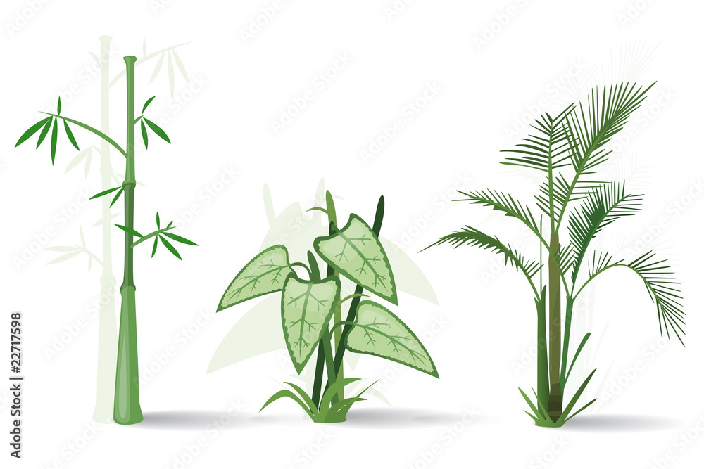 Obraz premium Plantes vertes vectorielles