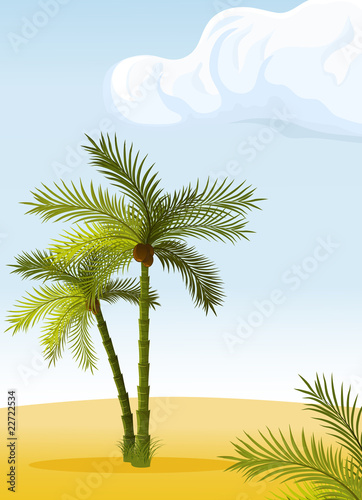 two palm-tree