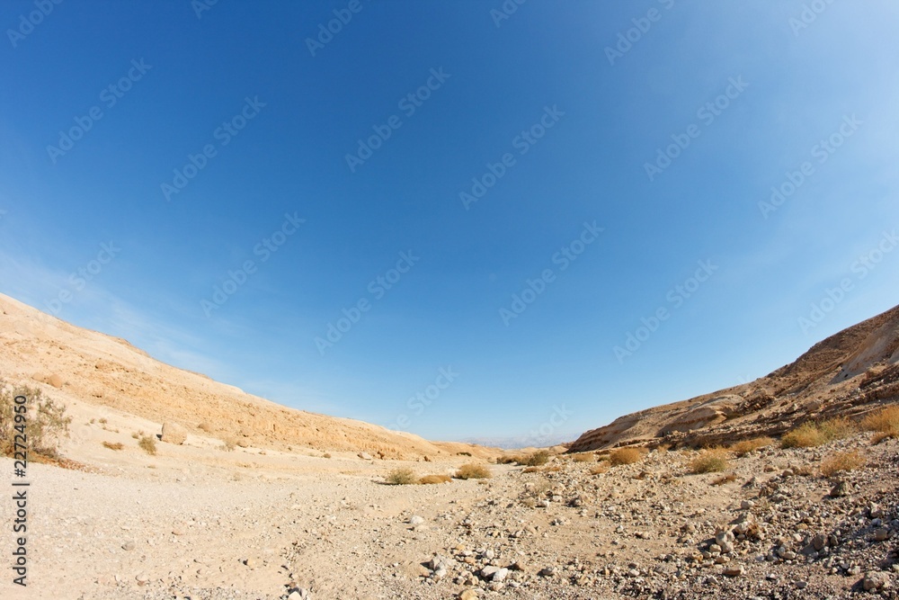 Desert landscape fisheye view