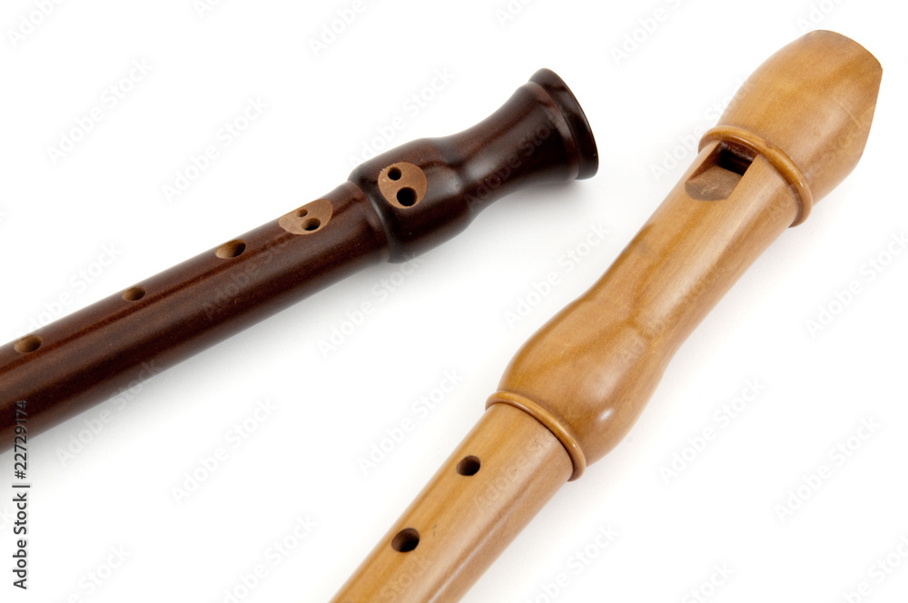 Naklejka premium Blockflöten