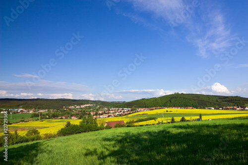 Spring landscape with a field of yellow rape and blue sky