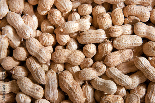 Peanuts in shells photo