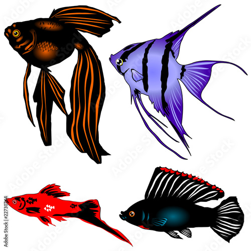 collection aquarian fishes on a white background vector