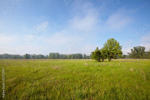 Grassland