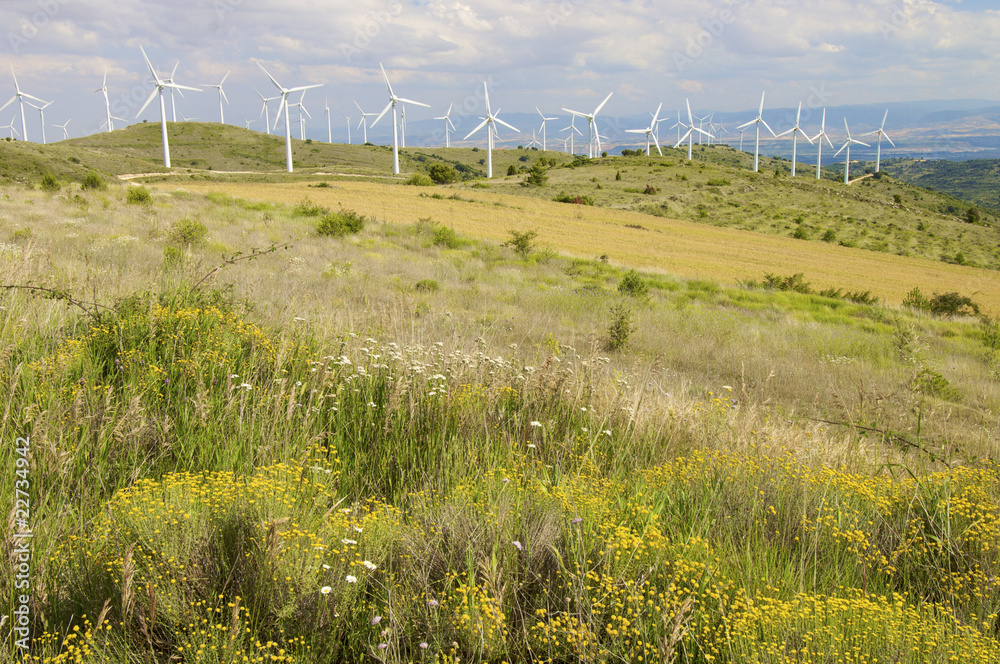 wind field wind field