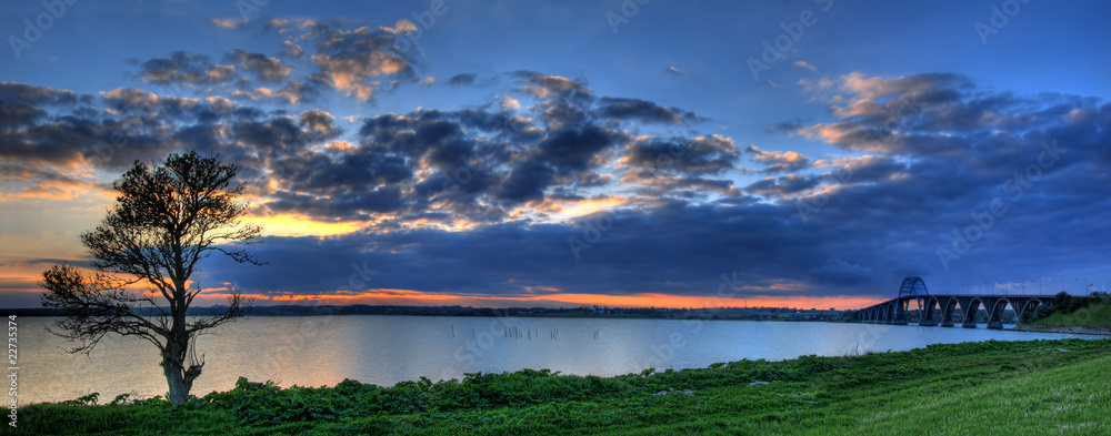 Obraz premium Tree against sunset Panorama