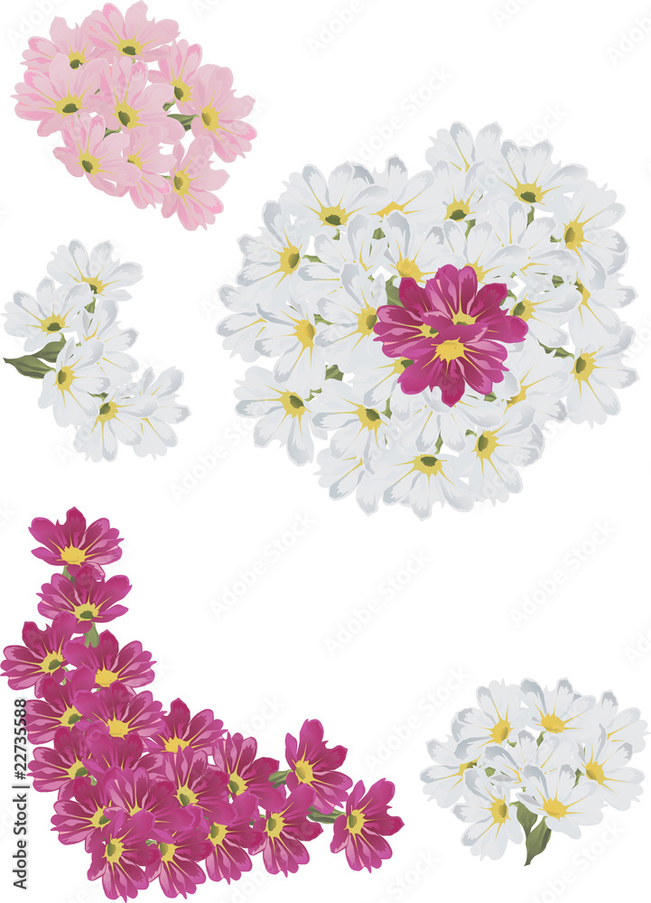 red, pink and white flowers collection