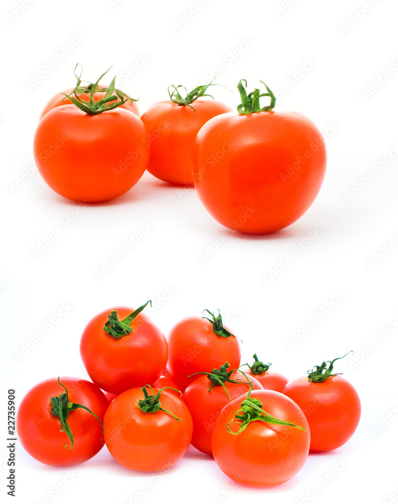 tomatoes tomatoes