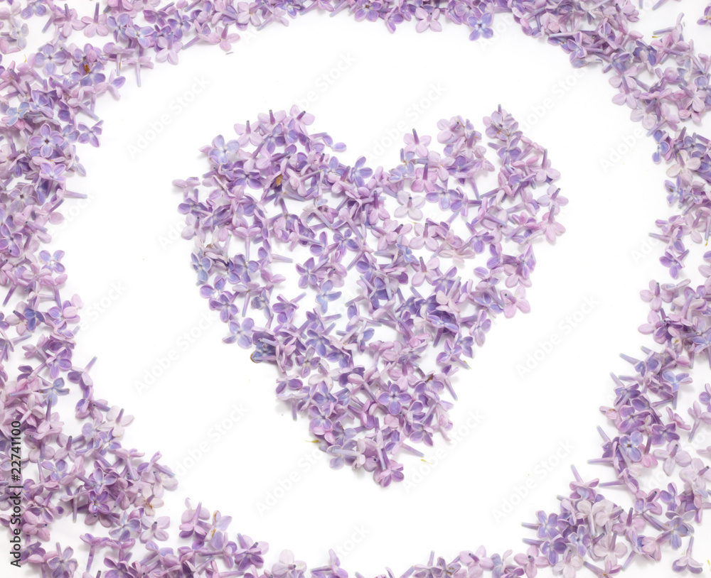 heart with flowers of lilac