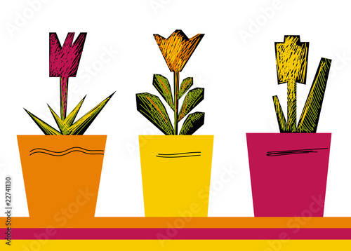 flowers in flowerpots