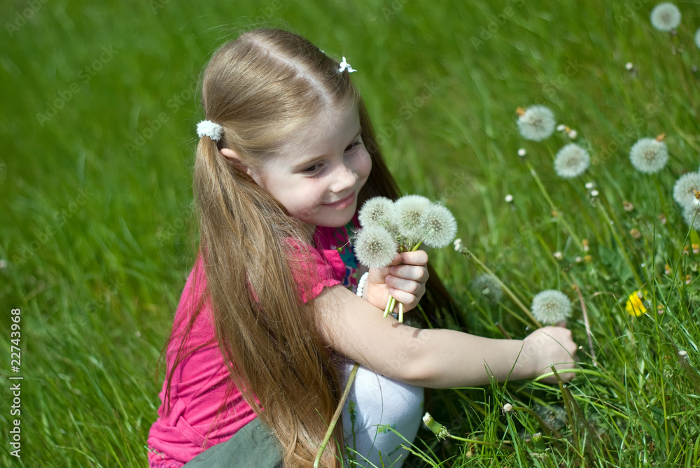 little girl with dandelions little girl with dandelions