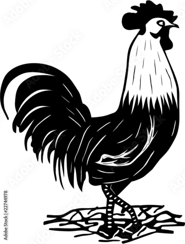COQ