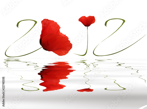 Flood sur 2012