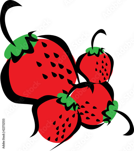 strawberries vector illustration