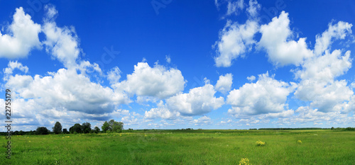 Green field and blue sky panorama