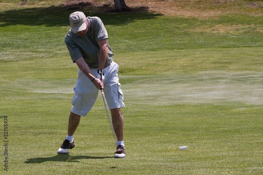 Obraz premium Fairway shot