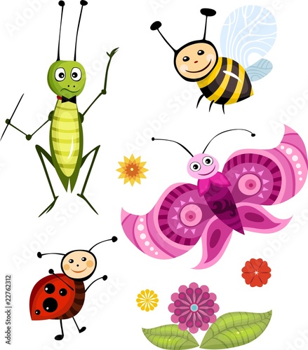 insect set