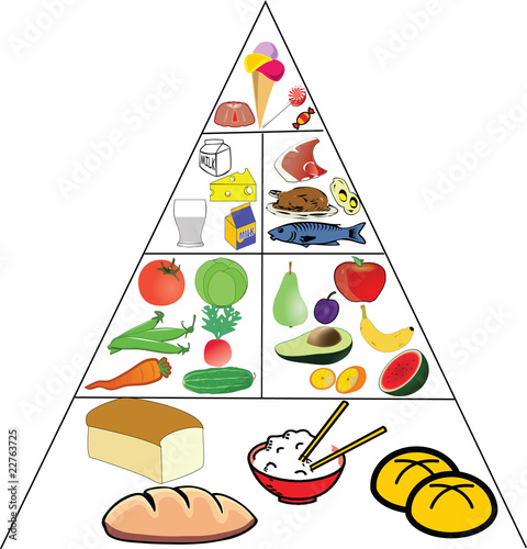 food pyramid