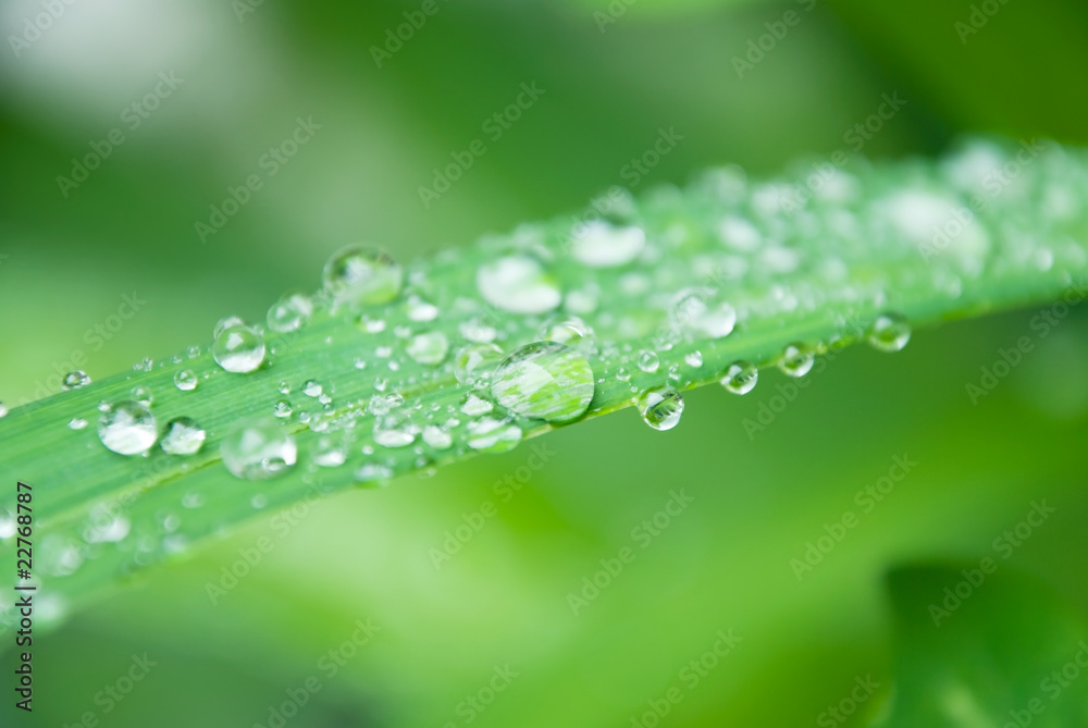 water drops