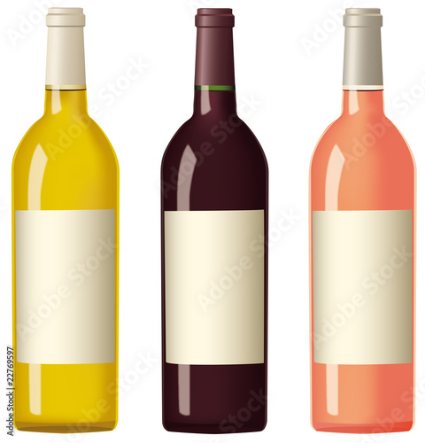 bouteilles de vins