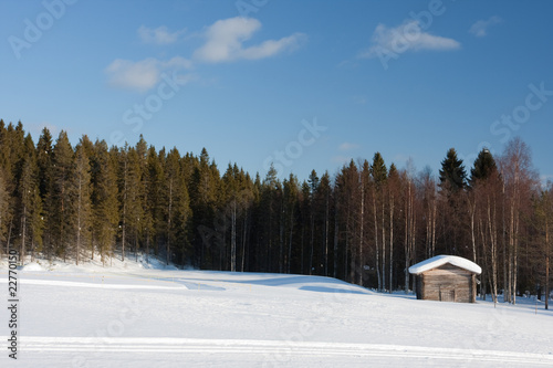 Small wooden house in winter. © Olga Polyakova