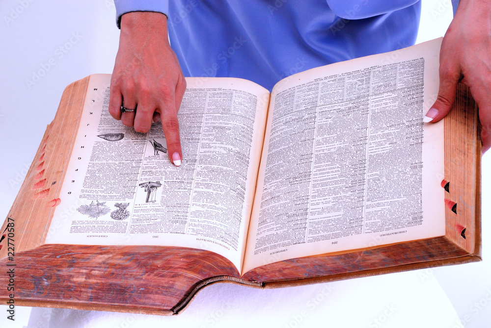Fototapeta premium Dictionary