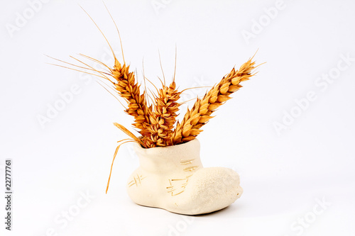 Wheat in original vase shoe on white background