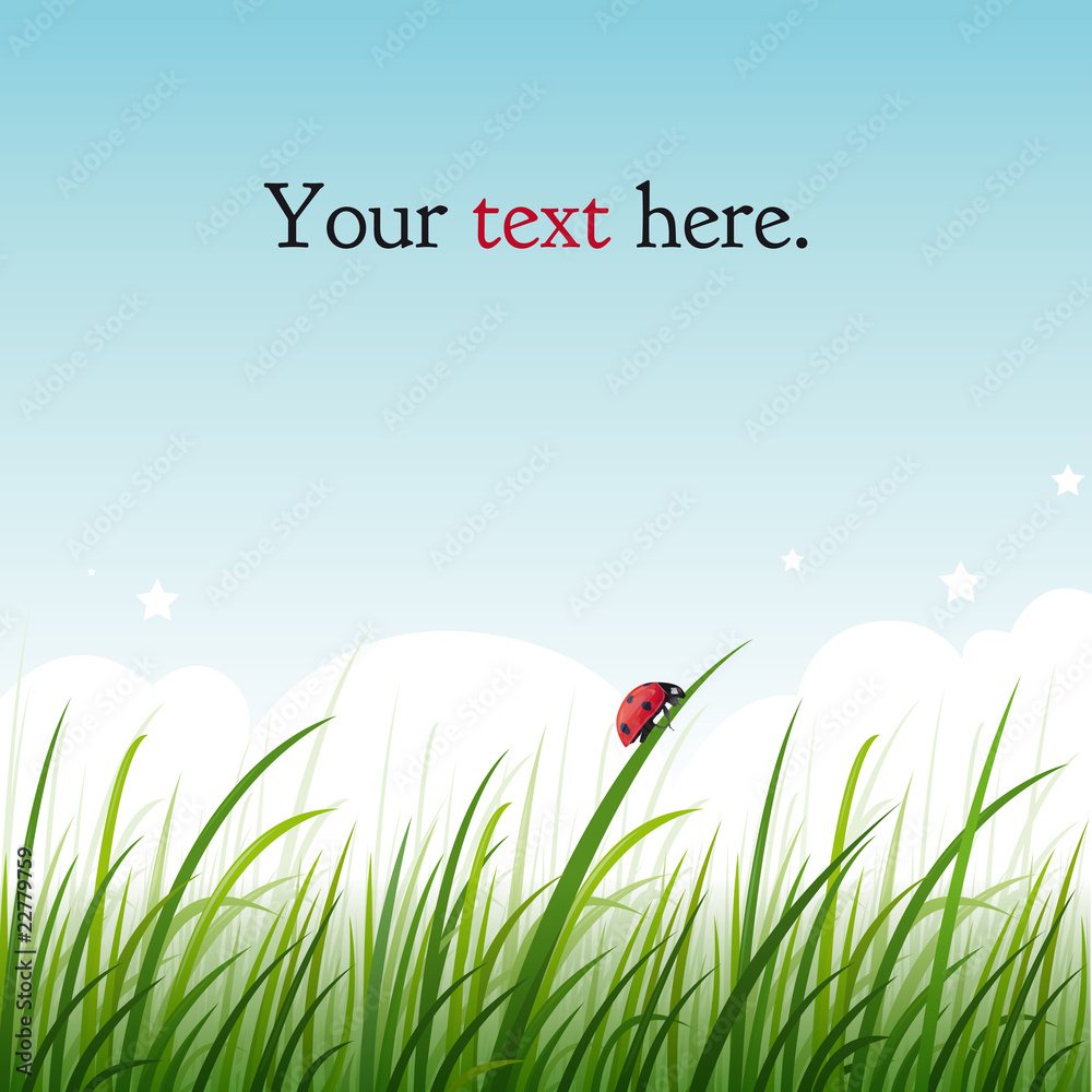 Carte avec coccinelle dans l'herbe