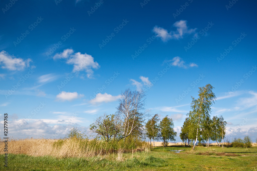 Landschaft auf dem Fischland-Darß.
