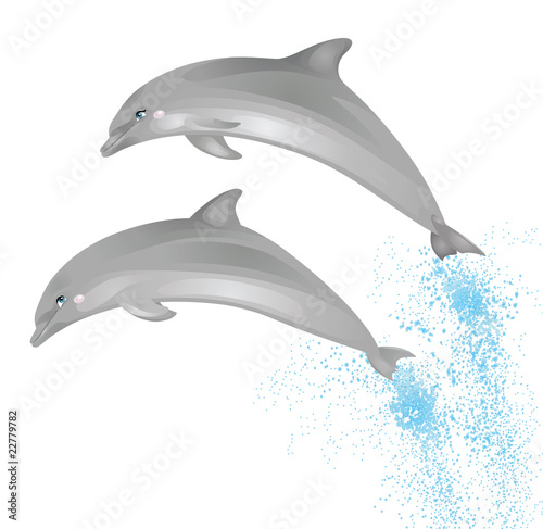 Two dolphins.