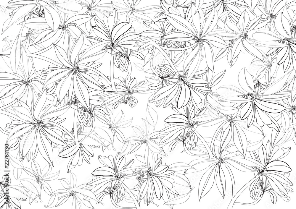 black and white sketch flower