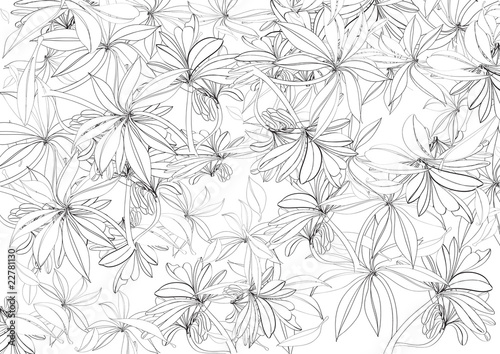 black and white sketch flower