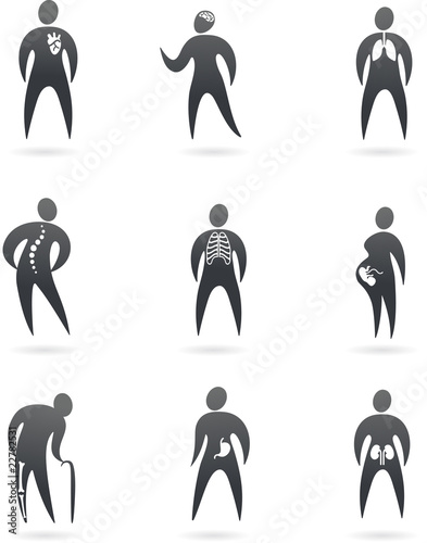 X-ray styled body organ icons