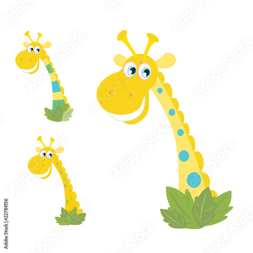 Three yellow giraffe heads isolated on white. VECTOR