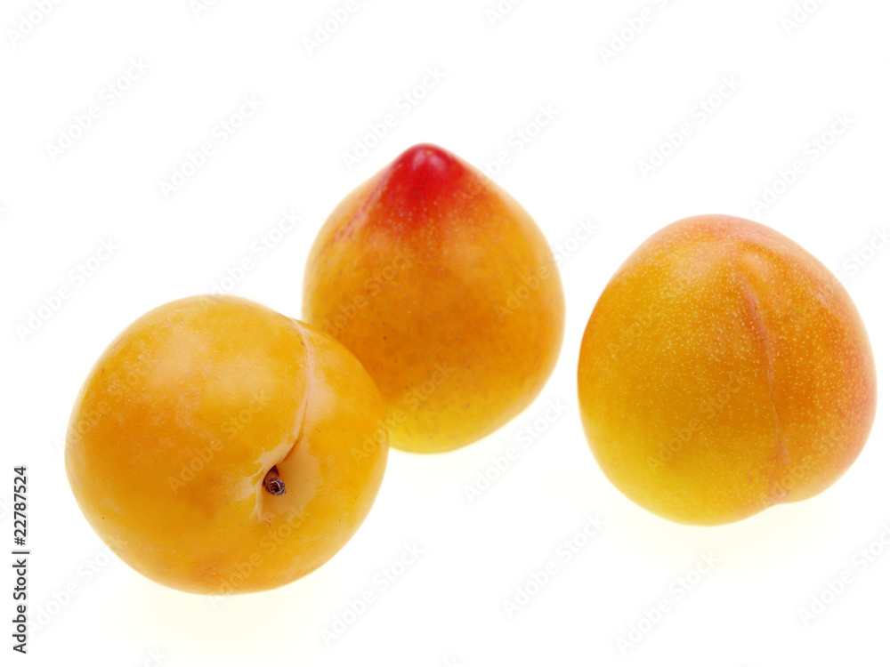 yellow plums isolated on white background yellow plums isolated on white background